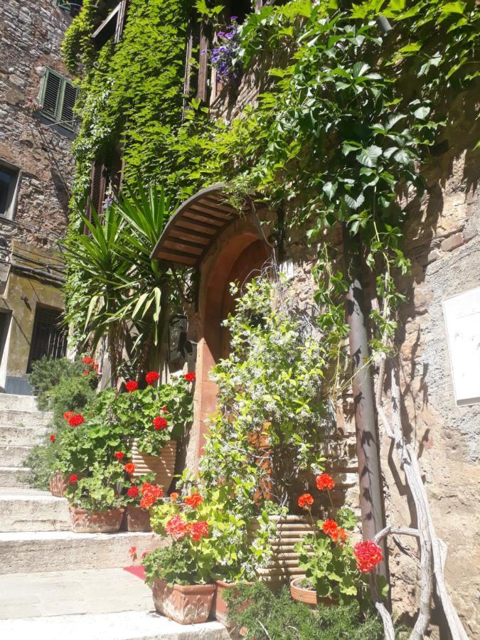 La Piazzetta Toscana B&B Campiglia Marittima Dış mekan fotoğraf