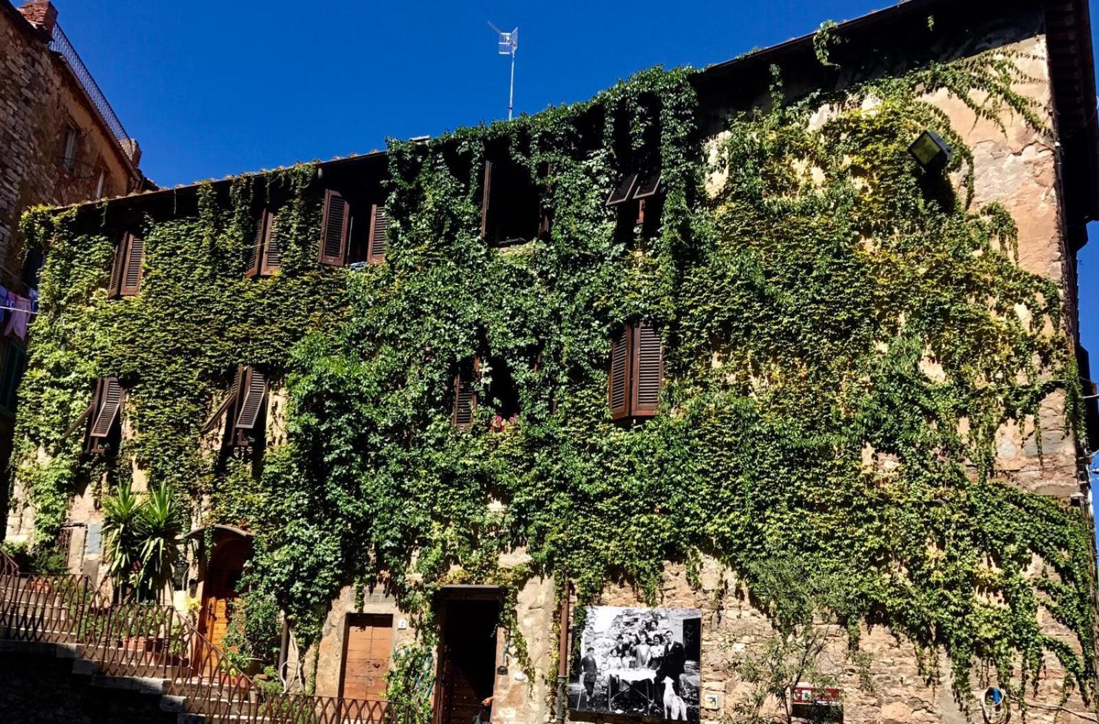 La Piazzetta Toscana B&B Campiglia Marittima Dış mekan fotoğraf