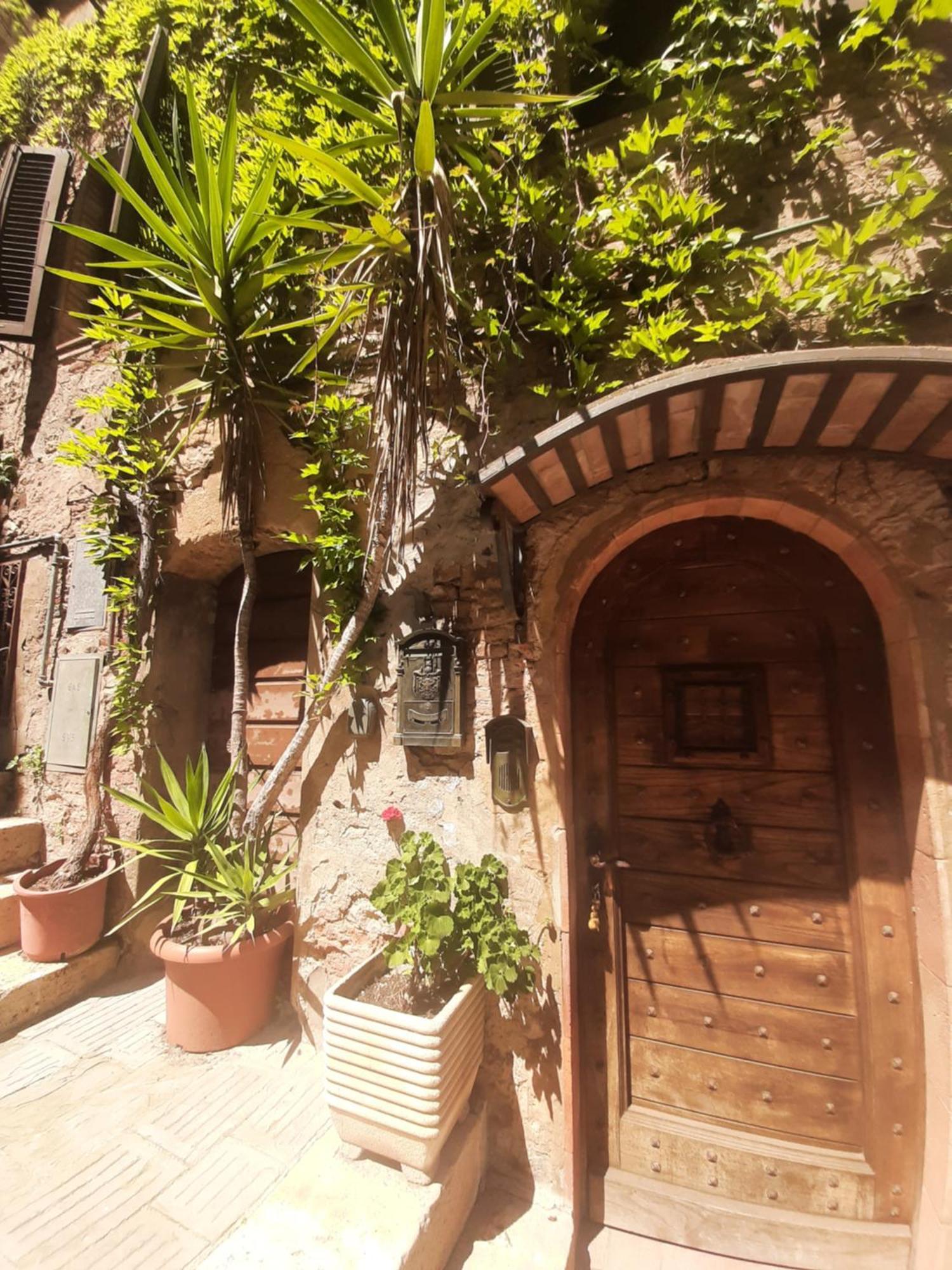 La Piazzetta Toscana B&B Campiglia Marittima Dış mekan fotoğraf